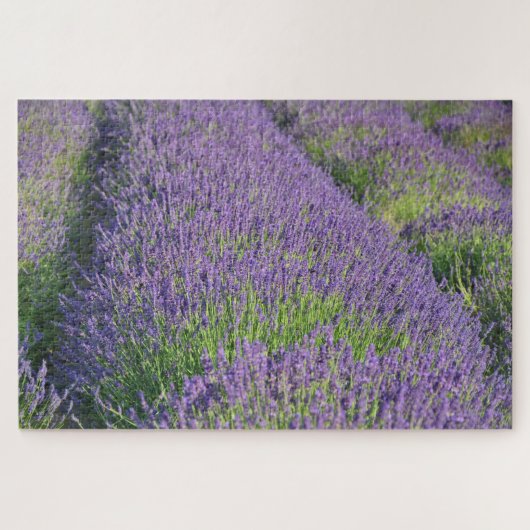 Lavender field Puzzle Legpuzzel (Horizontaal)