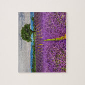 Lavender Field schilderachtig, Frankrijk Legpuzzel (Verticaal)
