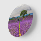 Lavender Field schilderachtig, Frankrijk Ronde Klok (Hoek)