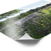 Lavender Field Sign. Foto Afdruk (Hoek)