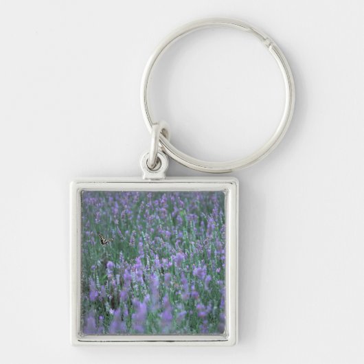Lavender Field Sleutelhanger (Voorkant)