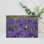 Lavender Field Specialized Blank Notecard Kaart (Staand voorkant)