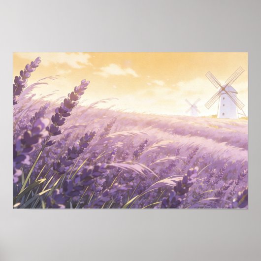 Lavender Field Sunset Poster (Voorkant)