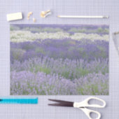 Lavender Field Tissue Paper Tissuepapier (Craft)