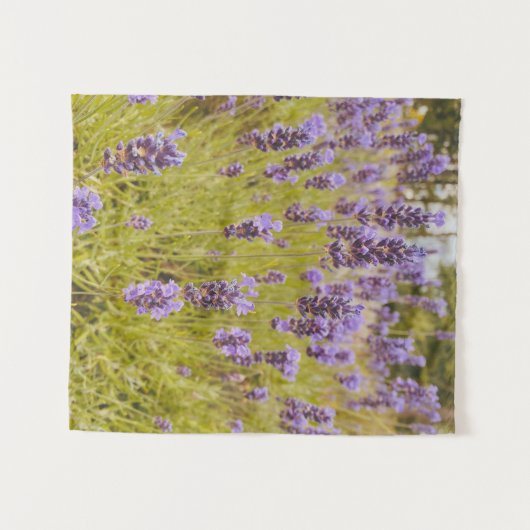 Lavender Field Wandkleed (Voorkant (horizontaal))