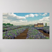 Lavender Fields afdrukken Poster (Voorkant)
