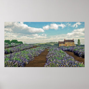 Lavender Fields afdrukken Poster