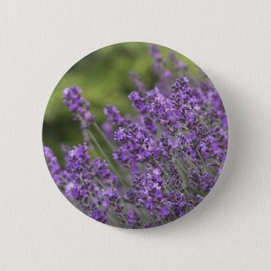 Lavender Fields Button (Voorkant)