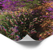 Lavender Fields for ever Poster (Hoek)