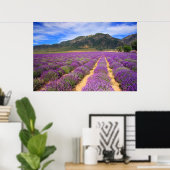Lavender Fields for ever Poster (Thuiskantoor)