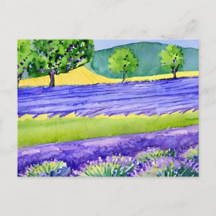 Lavender fields France Briefkaart