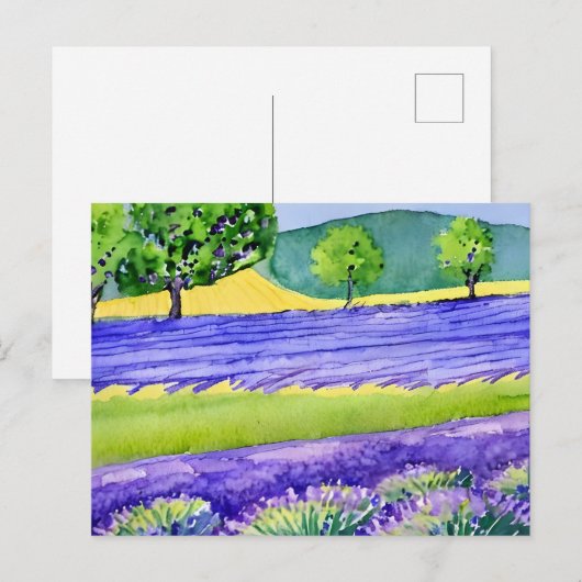Lavender fields France Briefkaart (Voorkant / Achterkant)