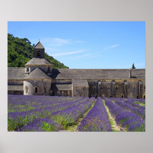 Lavender Fields of Senanque Abbey Poster (Voorkant)