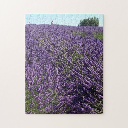 Lavender Fields of Sequim, WA Photo Legpuzzel (Verticaal)