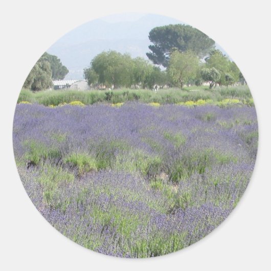 Lavender Fields Ronde Sticker (Voorkant)