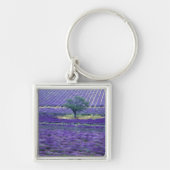 Lavender fields, Vence, Provence, Frankrijk Sleutelhanger (Voorkant)