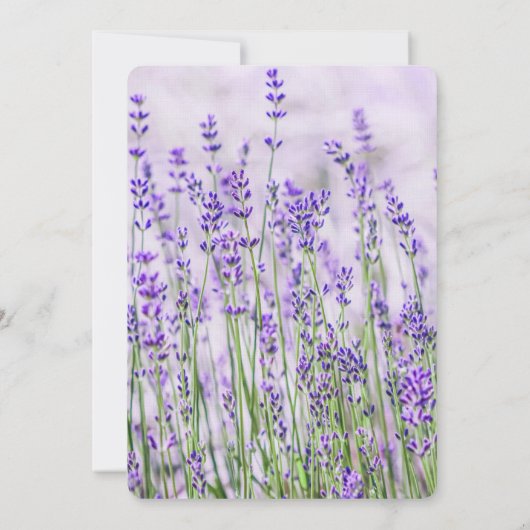 Lavender Fields Wedding RSVP Response Kaart (Achterkant)
