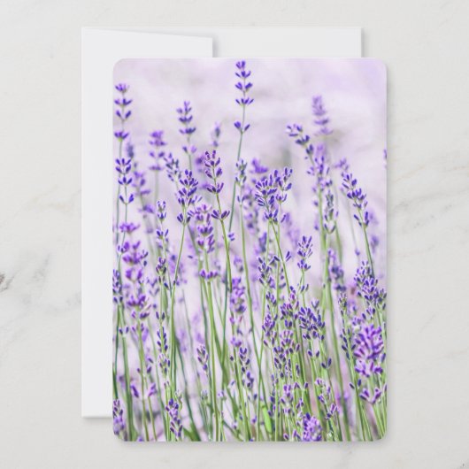 Lavender Fields Wedding Save the Date Kaart (Achterkant)