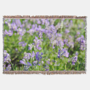 Lavender Flower Blossom in Herb Garden Deken
