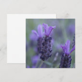 Lavender Flower Photo-uitnodigingen Kaart (Voorkant / Achterkant)