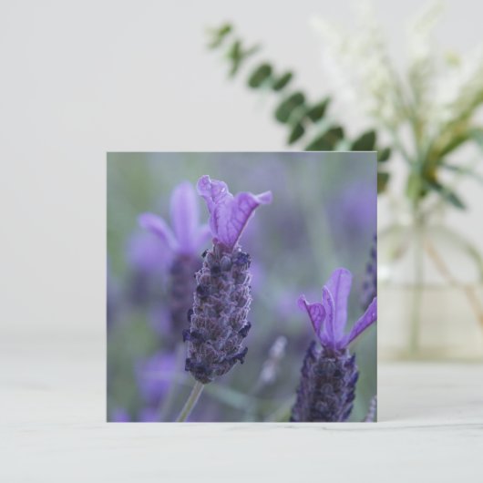 Lavender Flower Photo-uitnodigingen Kaart (Staand voorkant)