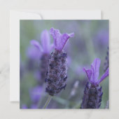Lavender Flower Photo-uitnodigingen Kaart (Voorkant)
