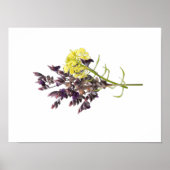 Lavender Flower Poster (Voorkant)