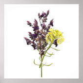 Lavender Flower Poster (Voorkant)