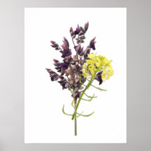 Lavender Flower