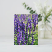 Lavender Flowers Briefkaart (Staand voorkant)