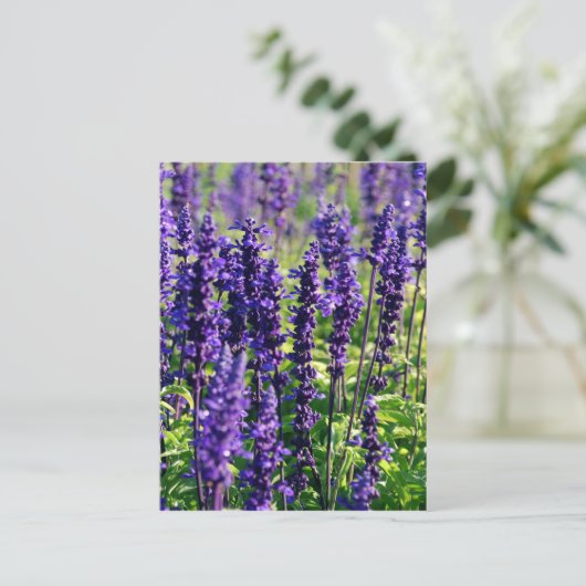 Lavender Flowers Briefkaart (Staand voorkant)