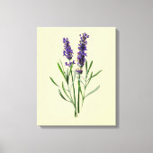Lavender Flowers Canvas Afdruk (Voorkant)