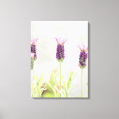 Lavender Flowers Canvas Afdruk (Voorkant)