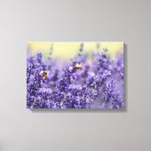 Lavender Flowers en bijen Canvas Afdruk (Voorkant)
