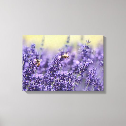 Lavender Flowers en bijen Canvas Afdruk (Voorkant)