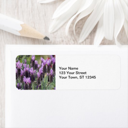 Lavender Flowers Etiket (Insitu)