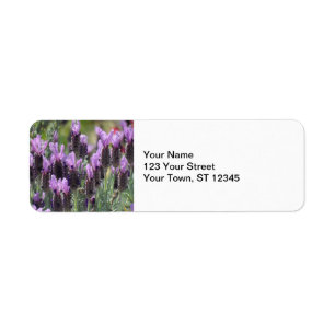 Lavender Flowers Etiket