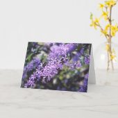 Lavender Flowers Kaart (Gele Bloem)