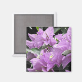 Lavender Flowers Magneet (Voorkant / Achterkant)