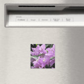 Lavender Flowers Magneet (Insitu (Vaatwasser))