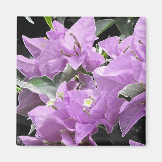 Lavender Flowers Magneet (Voorkant)