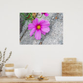 Lavender Flowers met Inspirerend quotes Poster (Keuken)