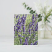 Lavender Flowers Post Card Briefkaart (Staand voorkant)