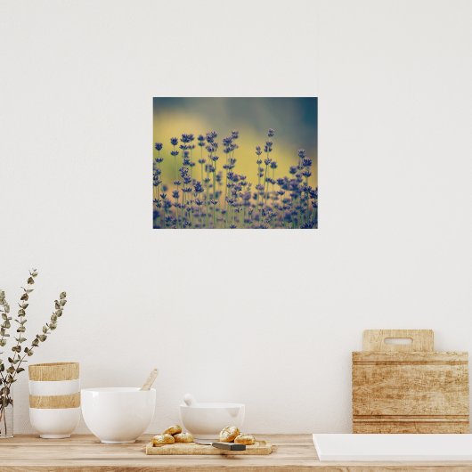 Lavender Flowers Poster (Keuken)