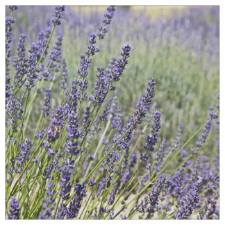 Lavender Flowers Stof