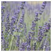 Lavender Flowers Stof (Close Up)