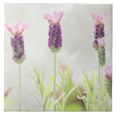 Lavender Flowers Tegeltje (Voorkant)