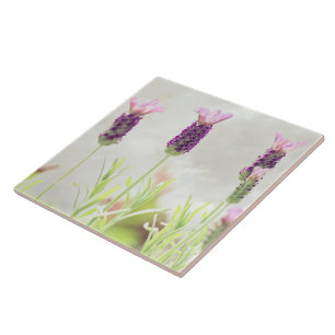 Lavender Flowers Tegeltje