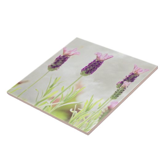 Lavender Flowers Tegeltje (Zijkant)