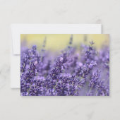 Lavender Funeral Hartelijk dank | Memorial Card Bedankkaart (Achterkant)
